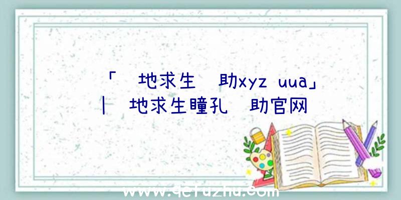 「绝地求生辅助xyz